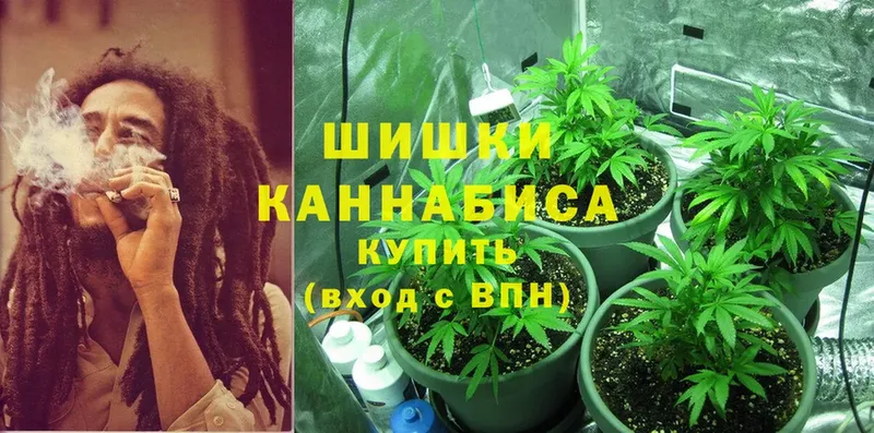 Бошки марихуана SATIVA & INDICA  наркотики  darknet Telegram  Азов 